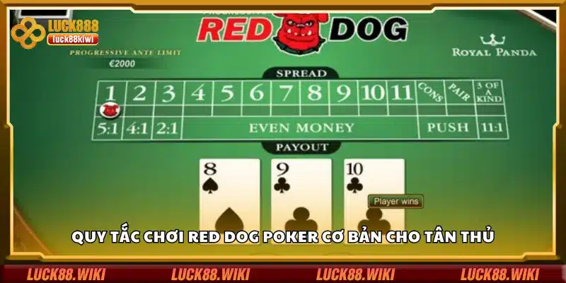 Quy tắc chơi Red Dog Poker cơ bản cho tân thủ