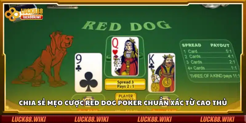 Chia sẻ mẹo cược Red Dog Poker chuẩn xác từ cao thủ
